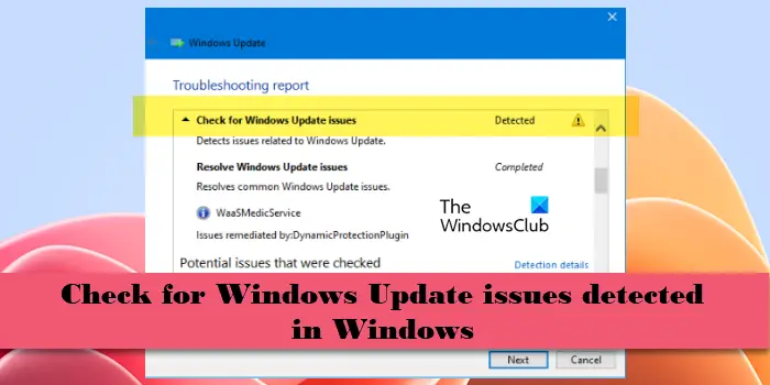 Check for Windows Update issues detected