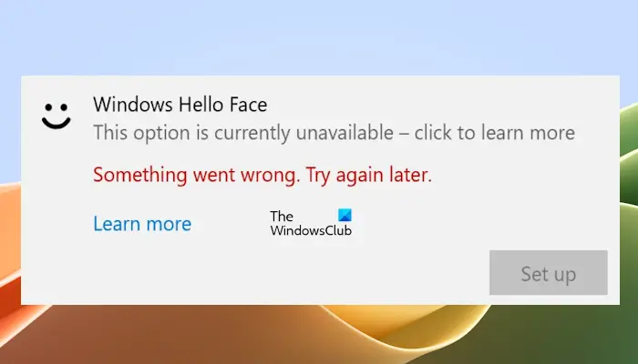 Windows Hello Something went wrong. Try again later