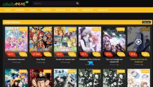 12 BEST 9ANIME ALTERNATIVES REDDIT APPROVED 2026 visual data 6