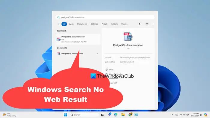 Windows Search No Web Results