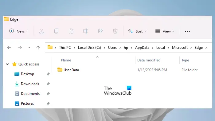 Delete User Data folder Edge