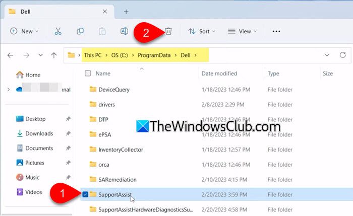 Dell SupportAssist Program Data