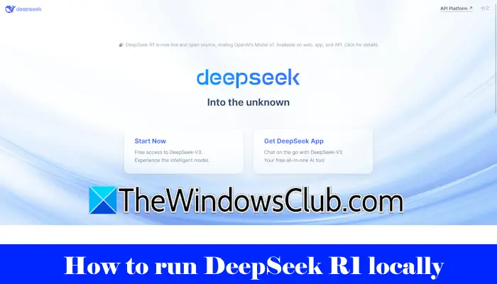 How to run DeepSeek R1 locally
