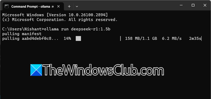 Install Deepseek-r1 model via cmd