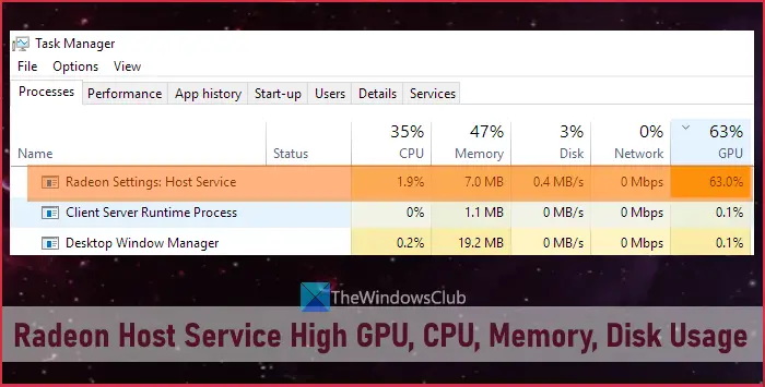 Radeon Host Service High GPU, CPU, Memory, Disk Usage