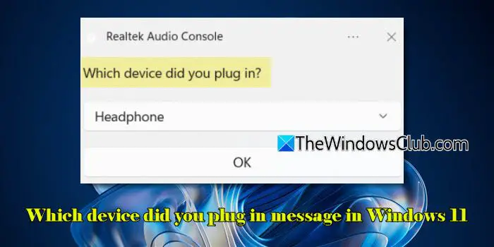 Which device did you plug in message in Windows 11