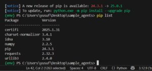 How to install Python Libraries in Visual Studio Code