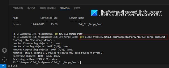 Cloning GitHub repository on local