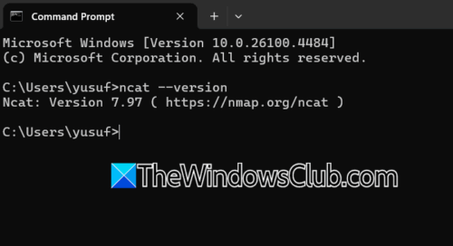 How to install and use Netcat on Windows 11?