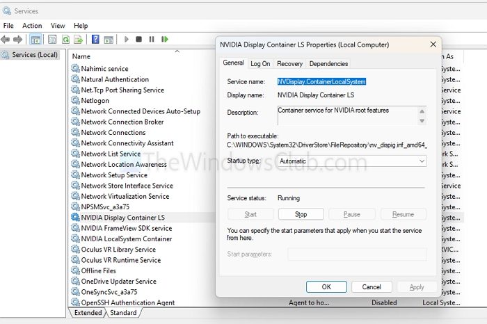 NVIDIA Display Container