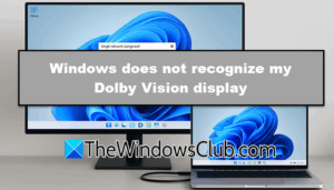 Windows 11 does not recognize my Dolby Vision display [Fix]