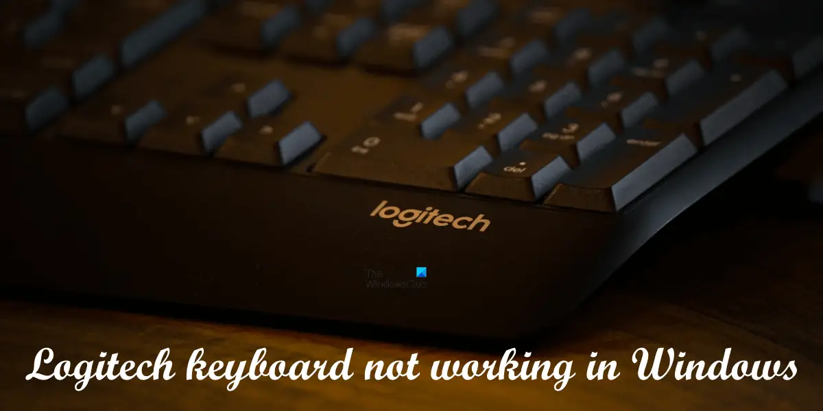 Skråstreg metrisk underviser Logitech keyboard not working in Windows 11/10