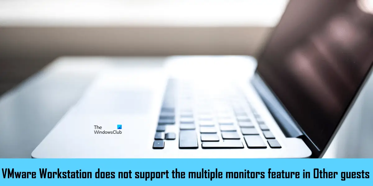 VMware Workstation does not support the multiple monitors feature in Other guests