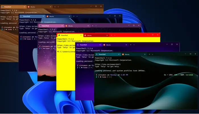 set a Custom Theme in Windows Terminal