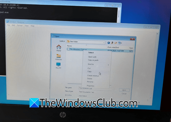 Copy data in WinRE