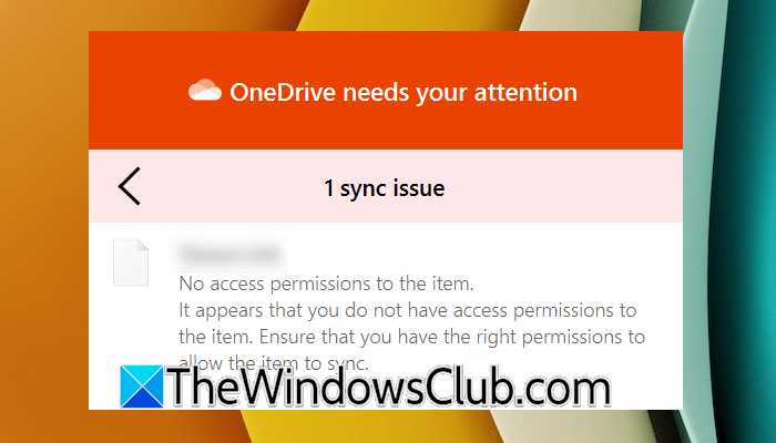No access permissions to the item