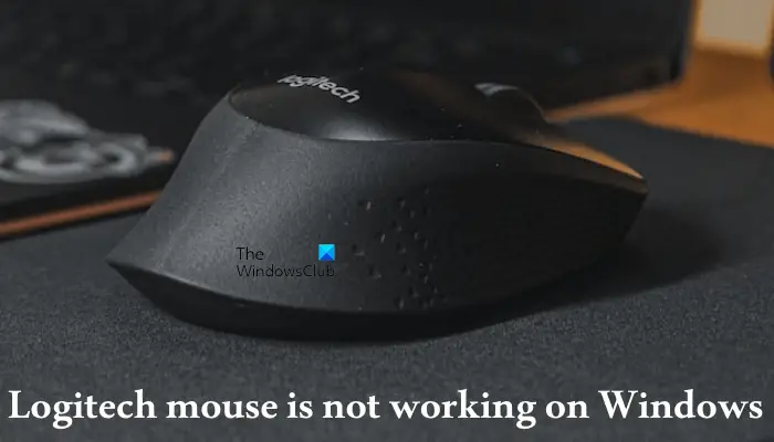 Menneskelige race Bløde fødder bryder ud Logitech mouse is not working on Windows 11/10
