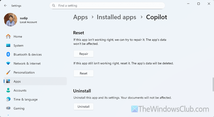 Copilot read aloud not working