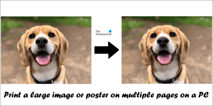 print a large image or poster on multiple pages on a PC