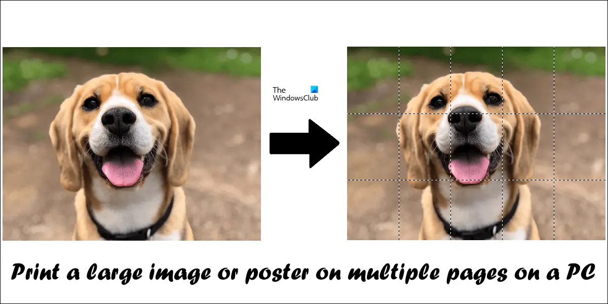print a large image or poster on multiple pages on a PC