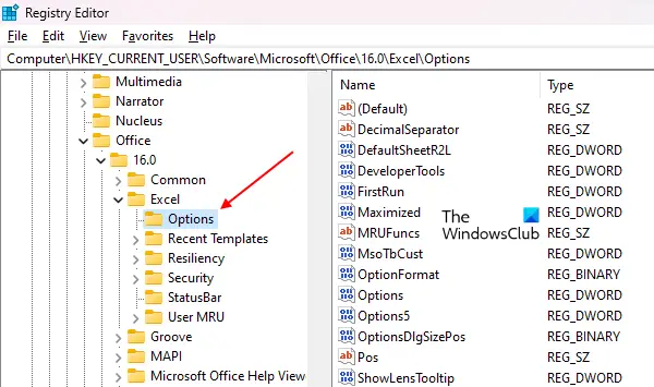 Delete Options folder for Excel in Registry