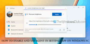 How to enable and use Agent in Settings on Windows 11