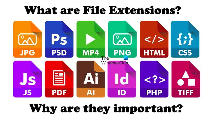 File extensions and their importance