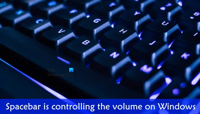 Spacebar is controlling the volume on Windows