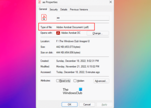 What are File Extensions and why are they important?