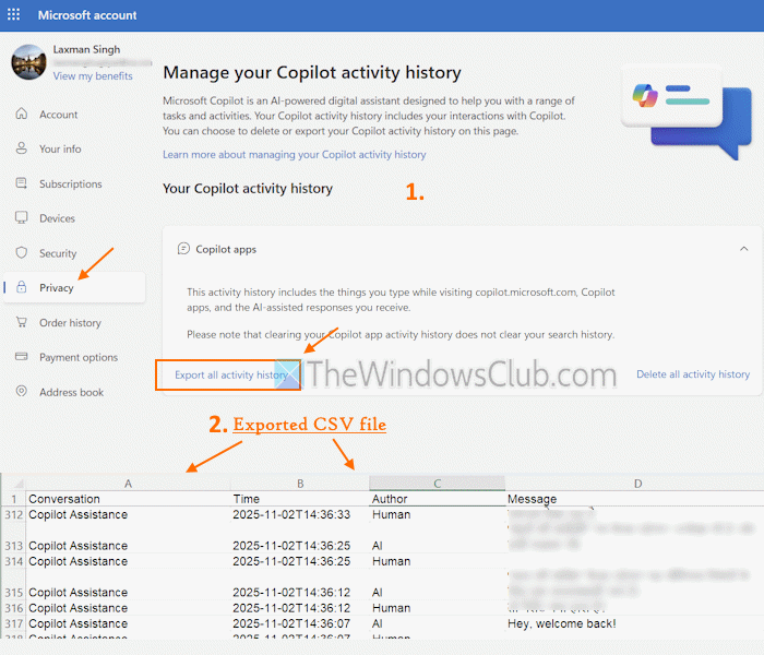 exportera radera spelcopilotkonversationer