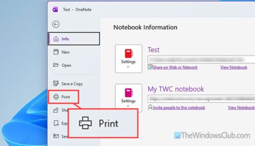 Print to OneNote not working in Windows 11
