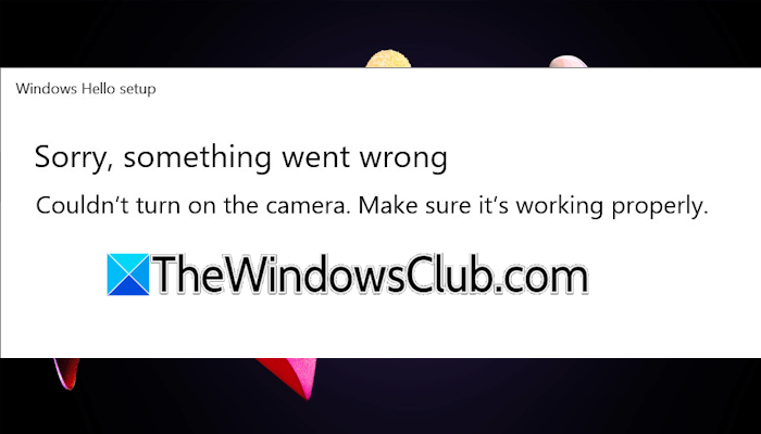 Windows Hello Couldn’t turn on the camera