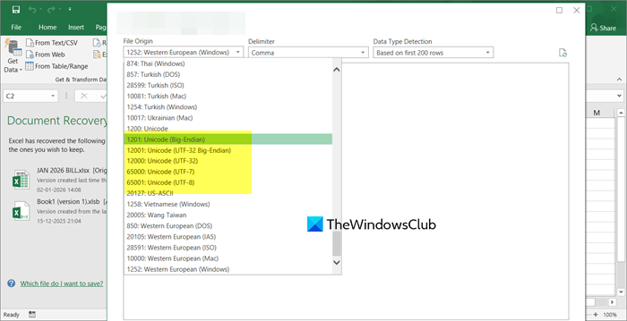 change Encoding in Excel, Word or Outlook