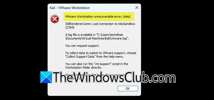 VMware Workstation unrecoverable error: (mks); ISBRendererComm: Lost connection to mksSandbox (3850)