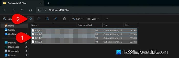 Copy MSG files Copy MSG files