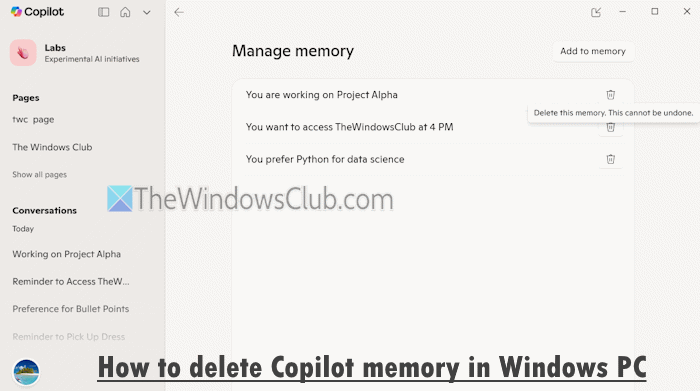 Delete Copilot memory Windows 11