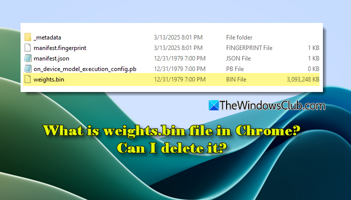What is weights.bin file in Chrome Can I delete it