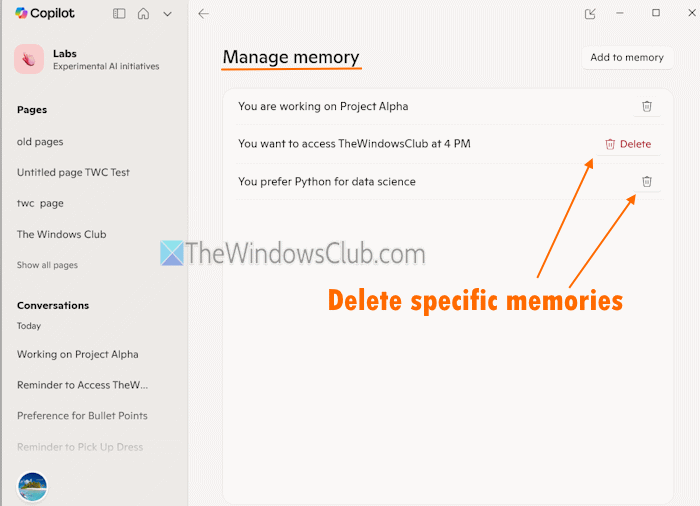 How to Manage or Delete Copilot Memory in Windows 11