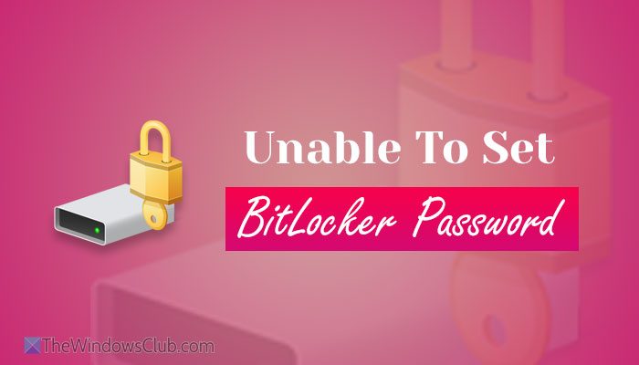 Unable to set BitLocker password in Windows 11