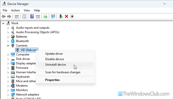 PowerPoint Cameo not showing or working in Windows 11