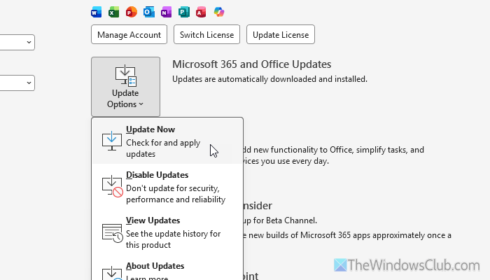 PowerPoint Cameo not showing or working in Windows 11