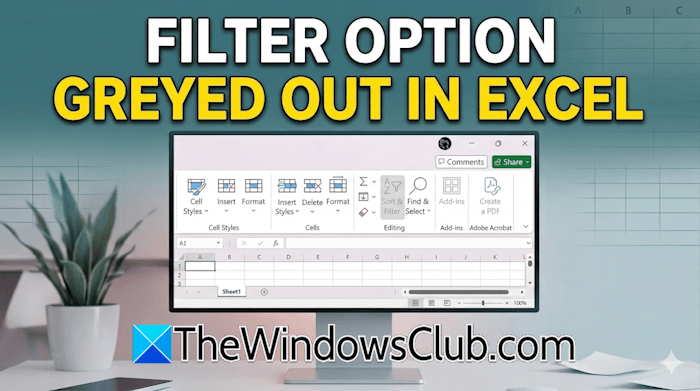 Filter option is greyed out