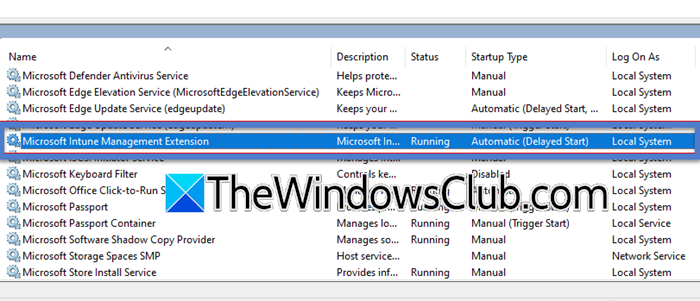 Microsoft Company Portal not opening