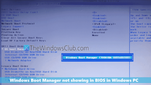 Windows Boot Manager not showing in BIOS in Windows 11