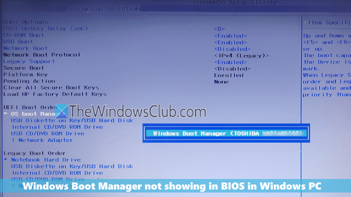 Windows Boot Manager not showing in BIOS in Windows 11