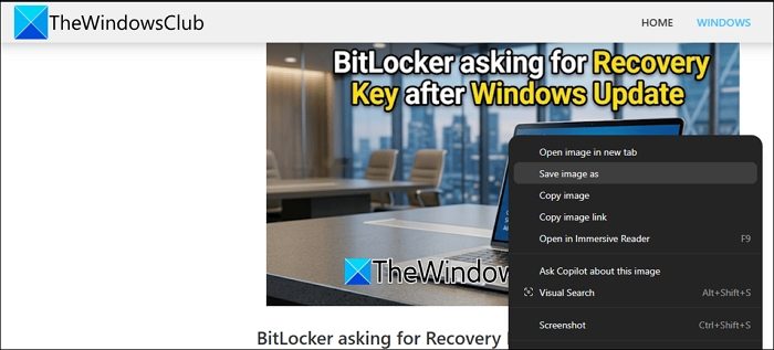 save image from a website