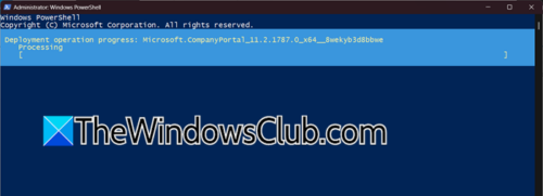 Microsoft Company Portal not opening in Windows 11