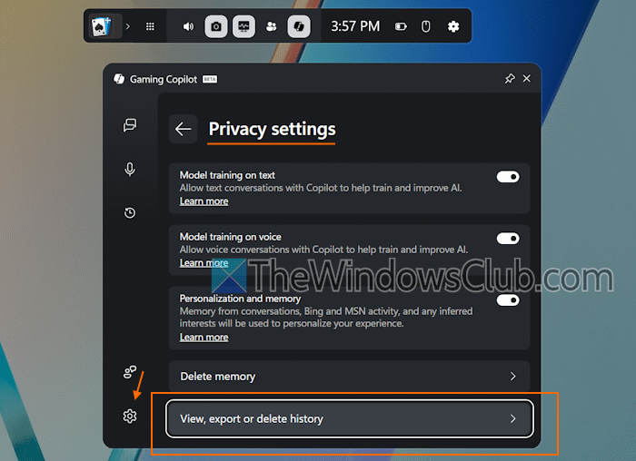 visa export radera spelcopilothistorik