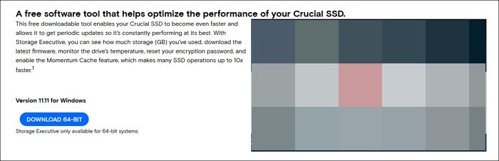 crucial storage executive