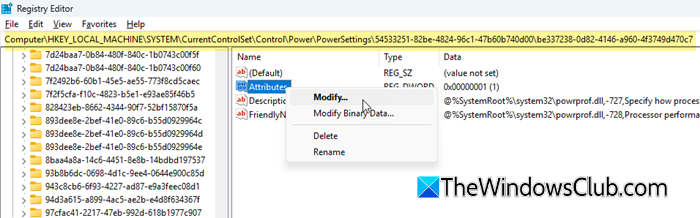 Attributes DWORD in Reg Editor